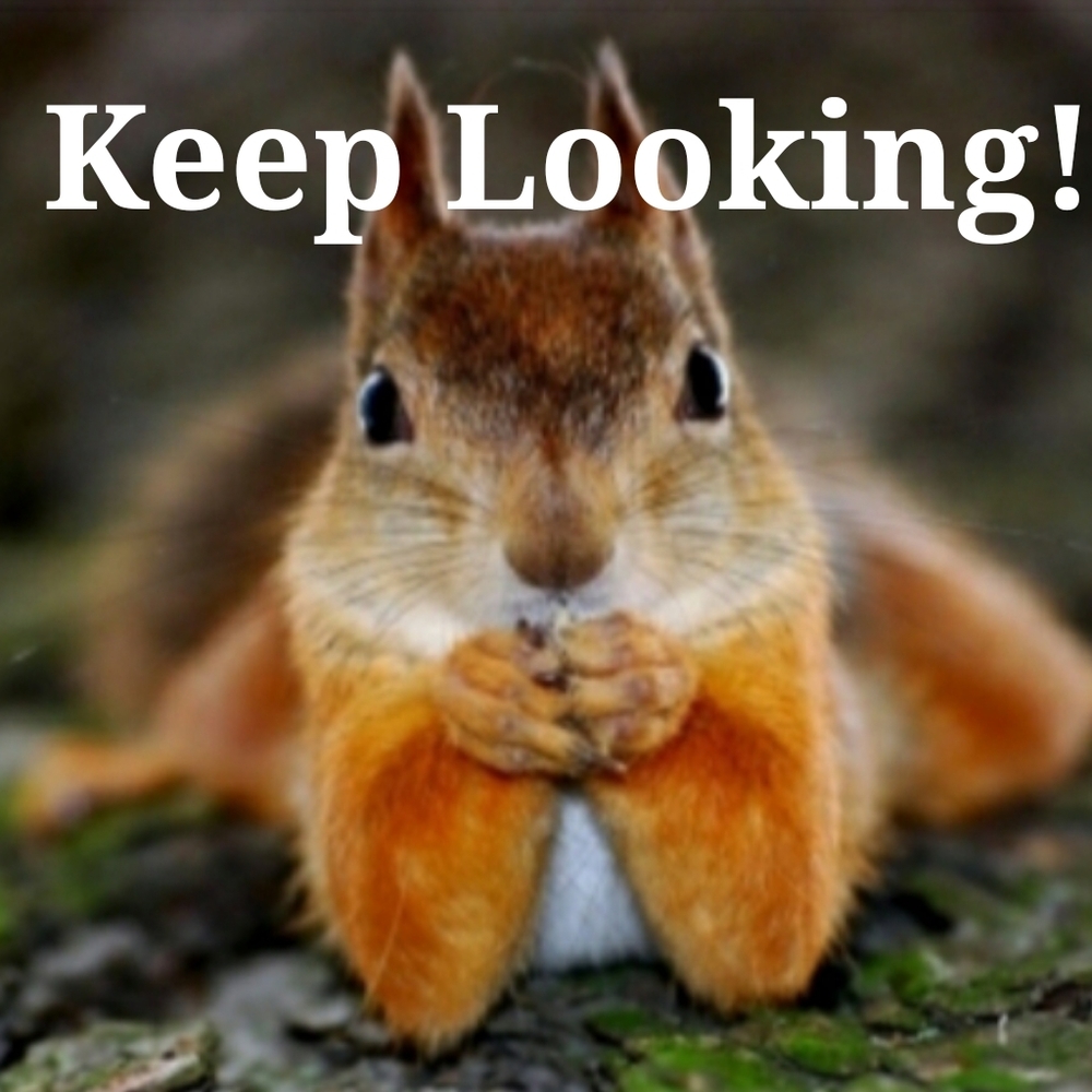 Keep shopping